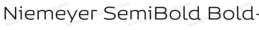Niemeyer SemiBold Bold字体转换